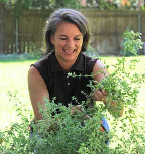 Growing Challenges: Herb Experts Sound Off