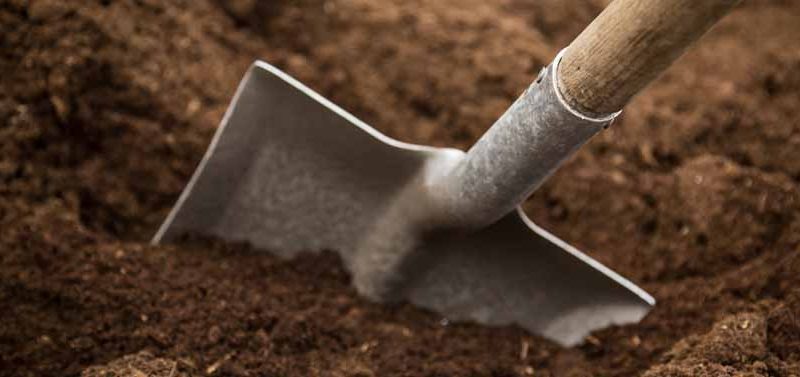 What to Do For Healthy Soil