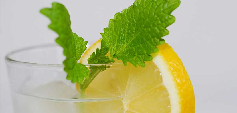 Lemon Balm Lemonade