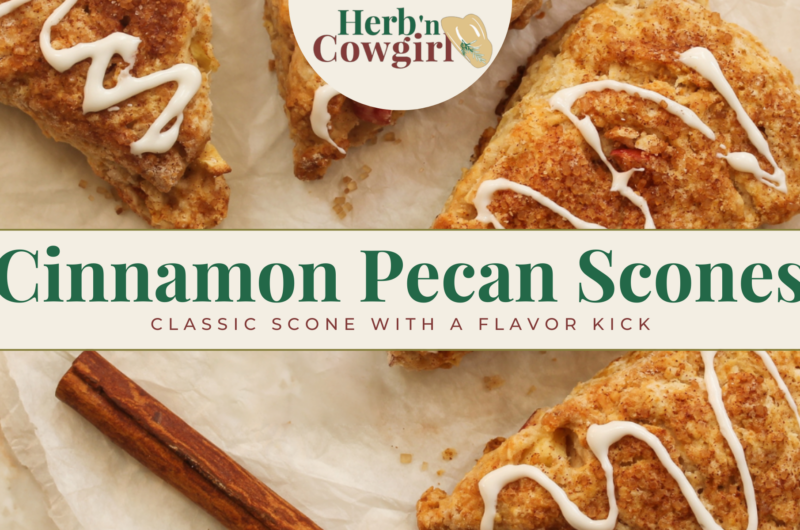 Cinnamon Pecan Scones